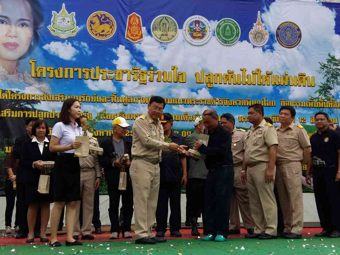 Mol-Thailand