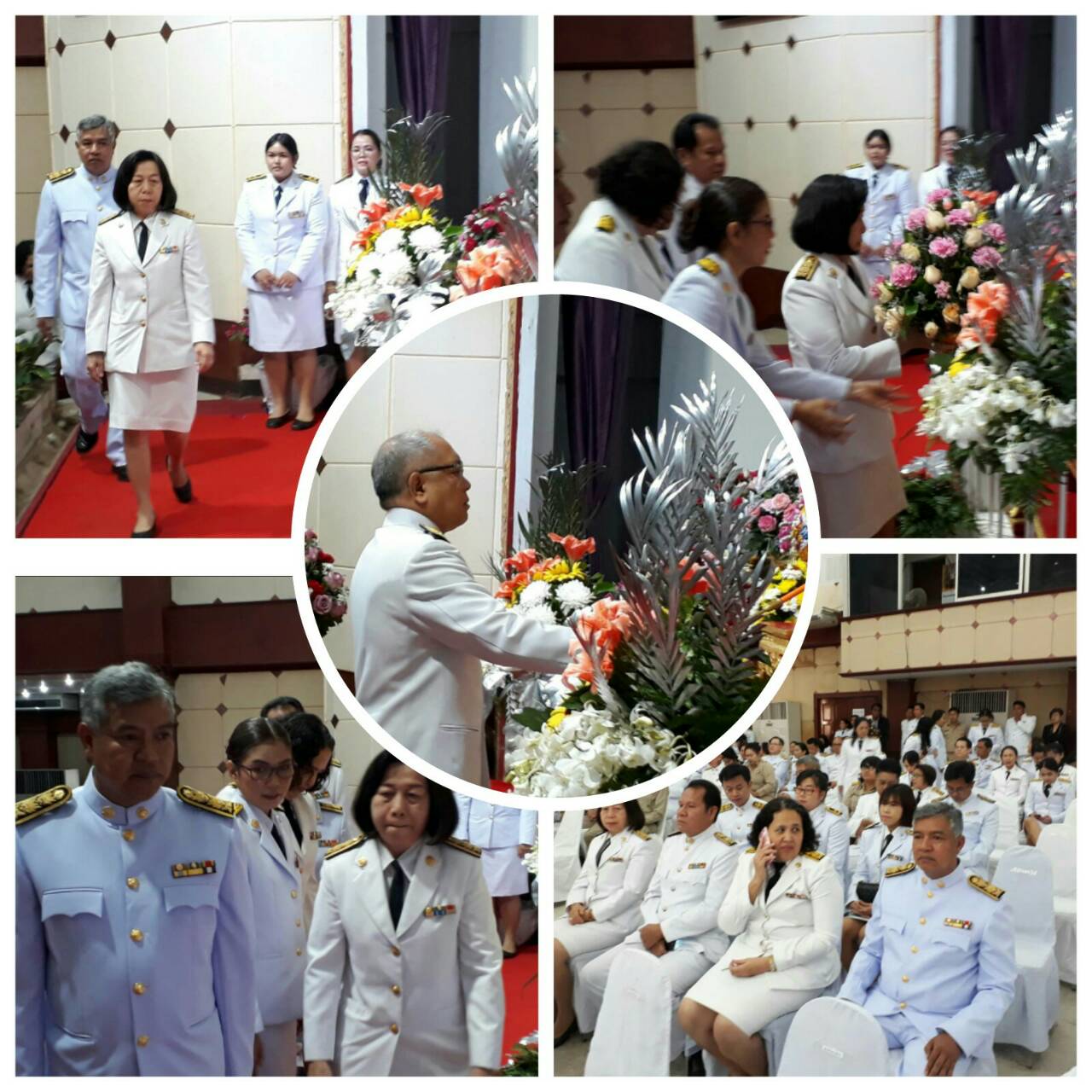 Mol-Thailand