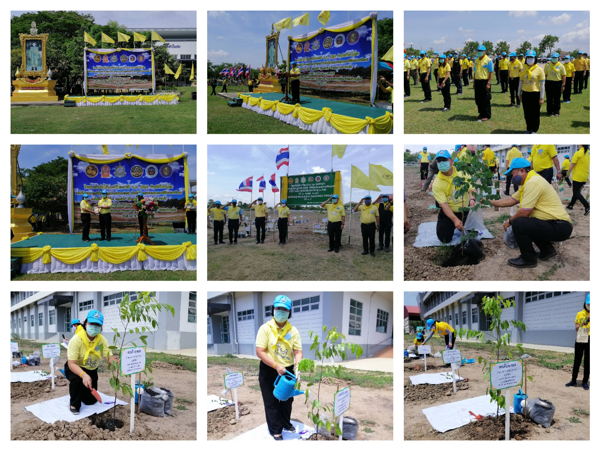 Mol-Thailand