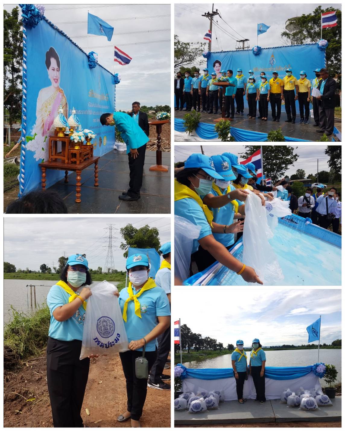 Mol-Thailand