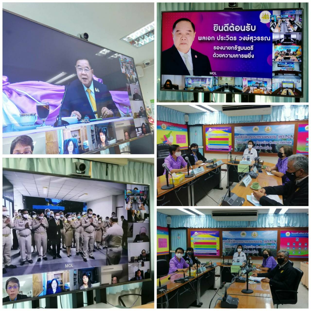 Mol-Thailand