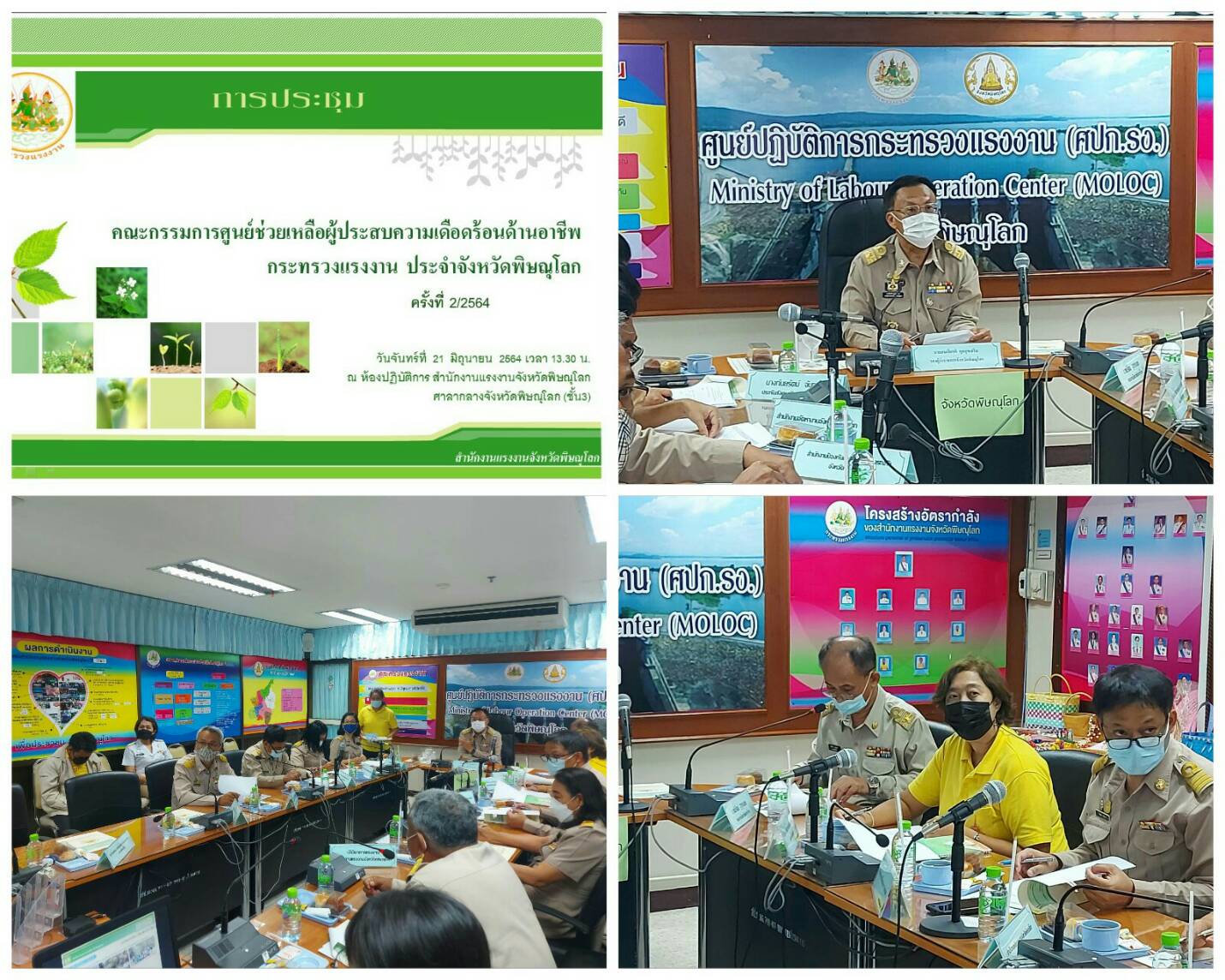 Mol-Thailand