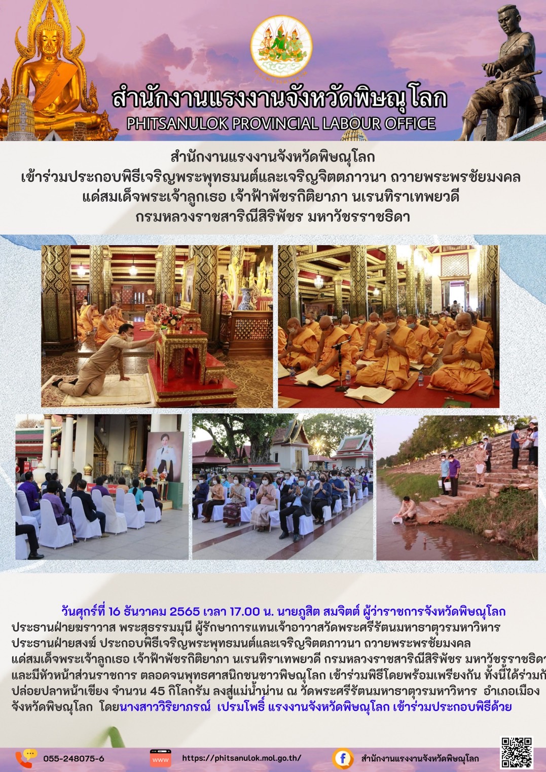 Mol-Thailand