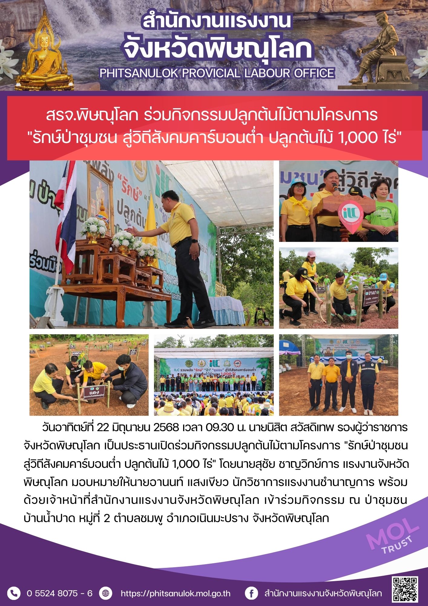 Mol-Thailand